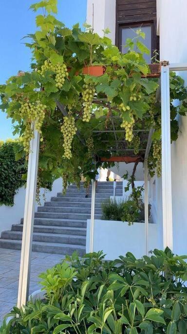 Villa En Oropesa Oropesa del Mar Eksteriør bilde
